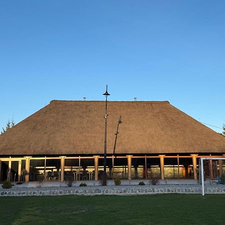 Kraina Dauby Wielowies (Warmian-Masurian) Exterior foto
